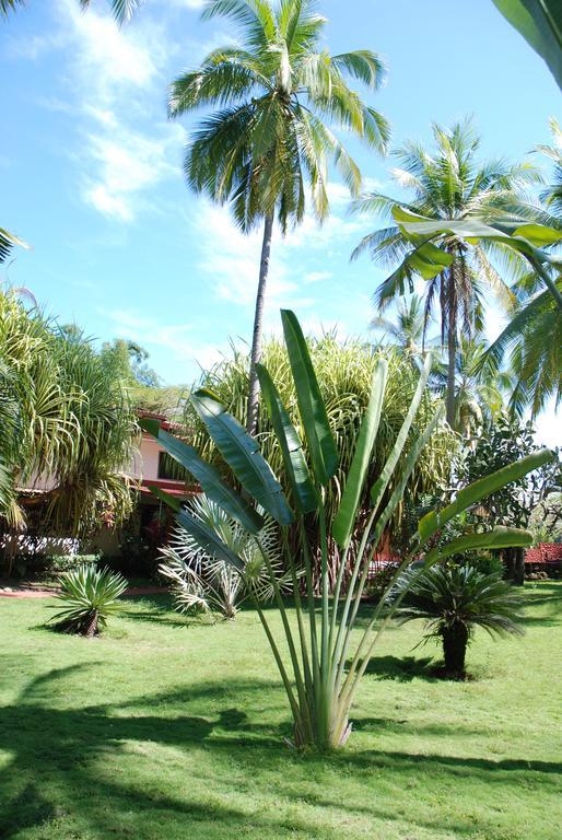Hotel Beso del Viento (Adults Only) Parrita Exterior foto
