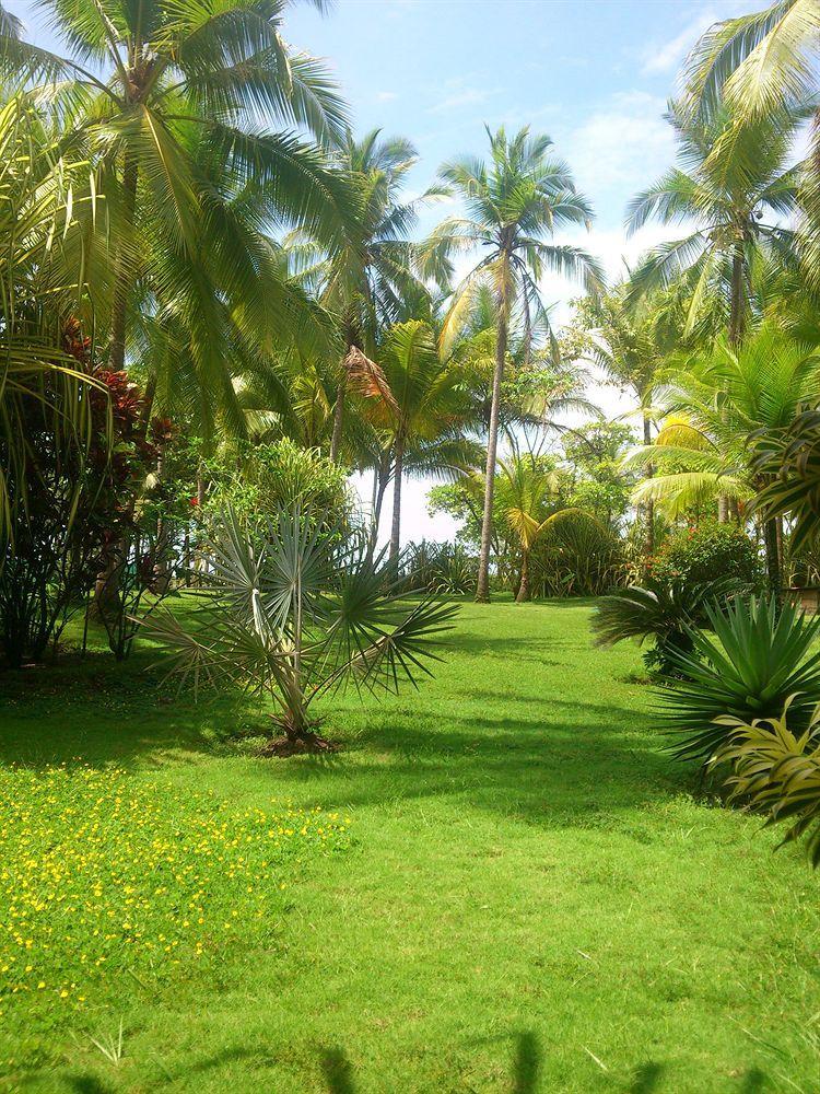 Hotel Beso del Viento (Adults Only) Parrita Exterior foto