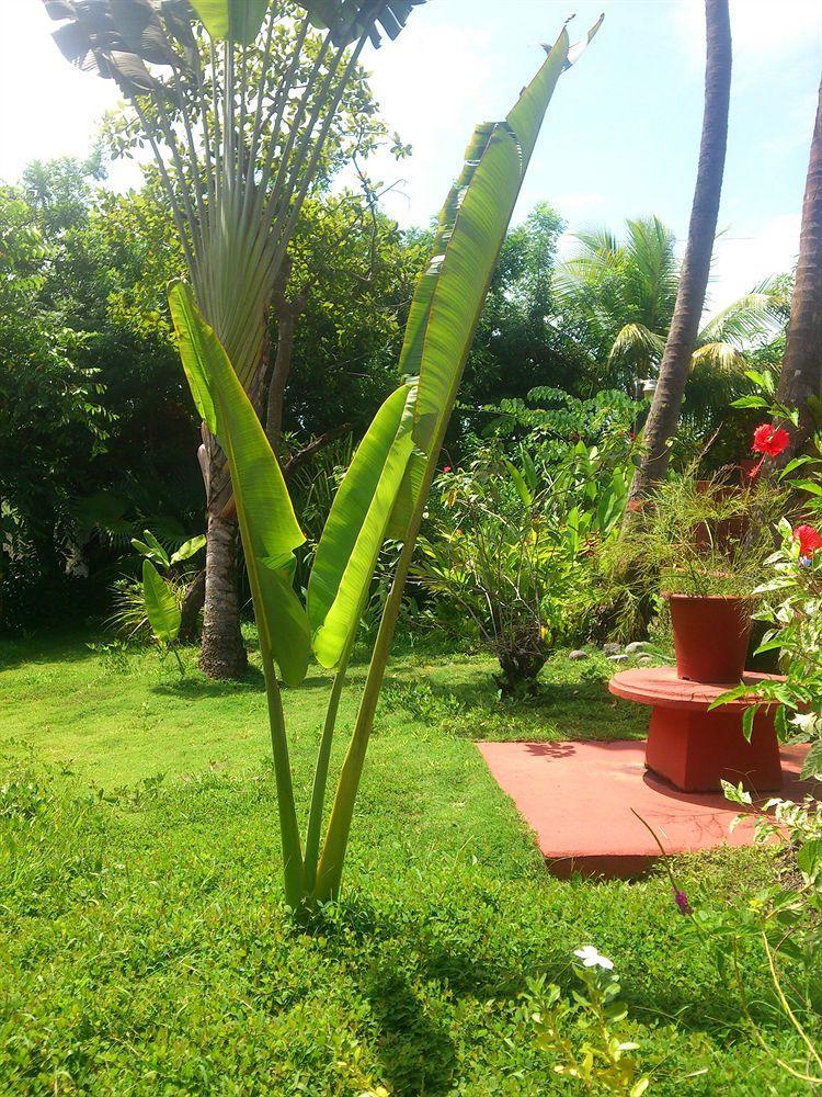 Hotel Beso del Viento (Adults Only) Parrita Exterior foto